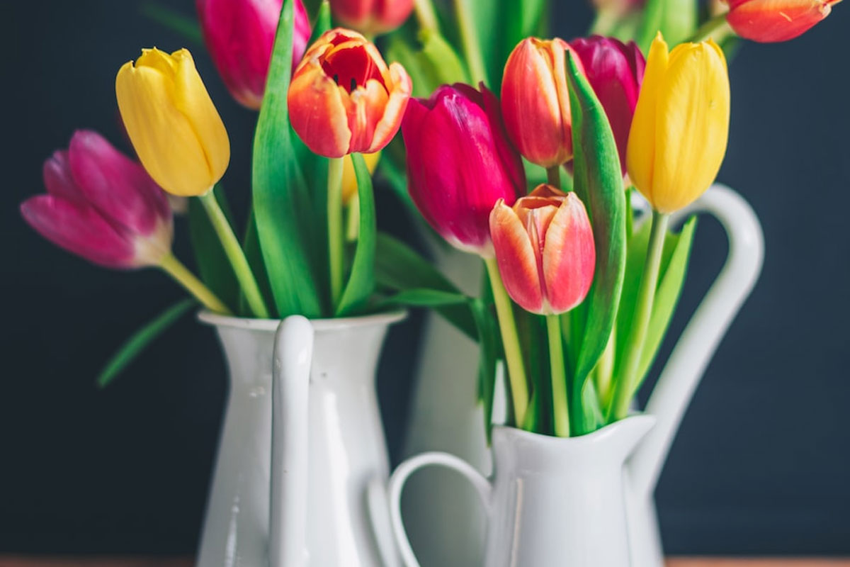 Ontdek De Perfecte Bloemen Voor Je Lampetkan