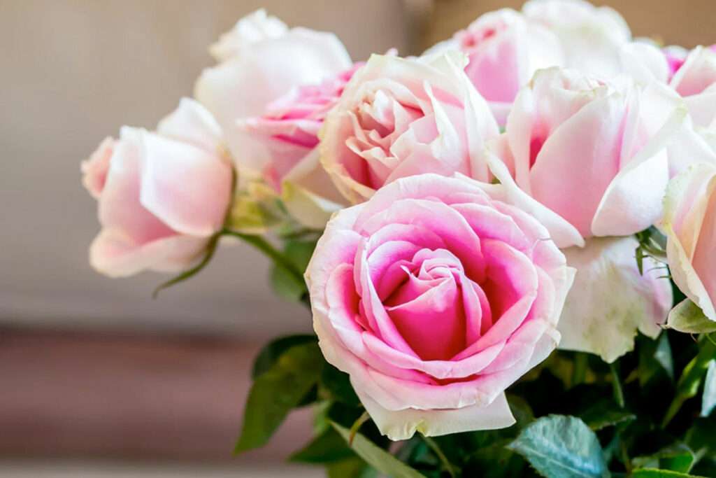 bloemschikken met rozen